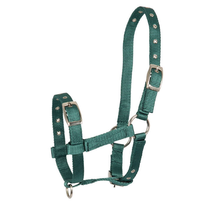 KANTRIE Fohlen-Halfter Triple